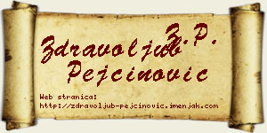 Zdravoljub Pejčinović vizit kartica
